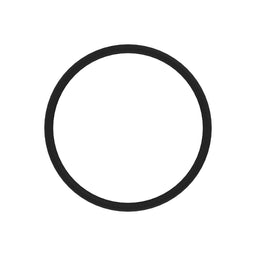O-RING