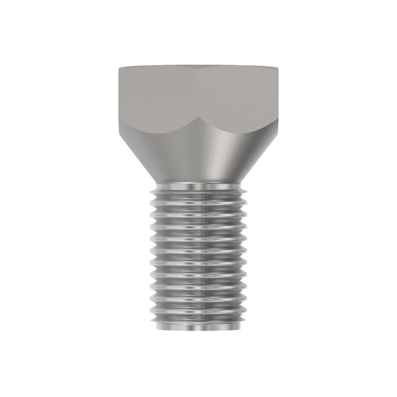 Wheel Bolt
