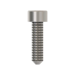 Socket Head Screw