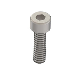 Socket Head Screw