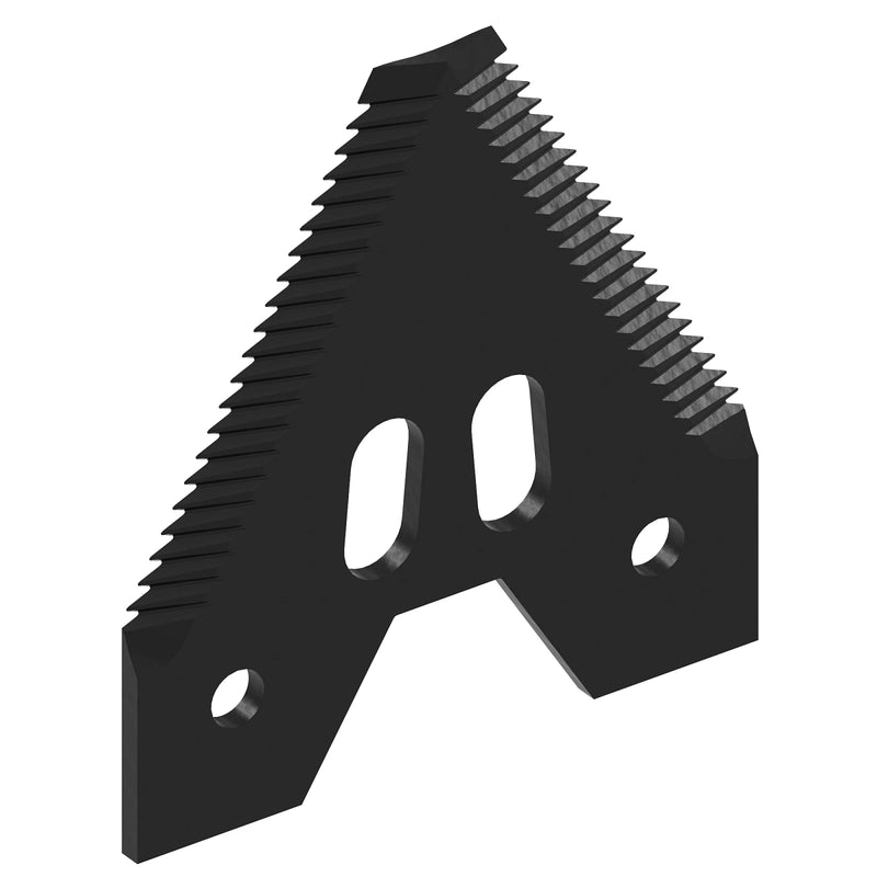 Section