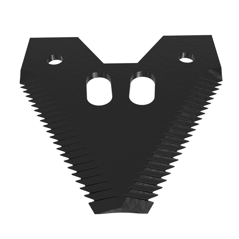 Section
