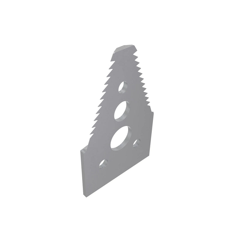 Section