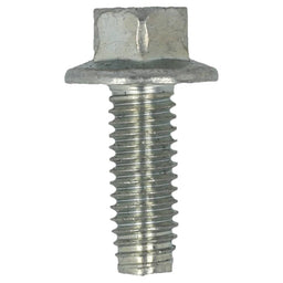 Hayter Screw - 09365