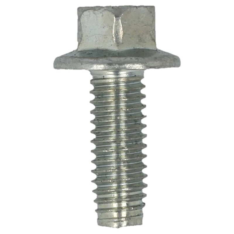 Hayter Screw - 09365