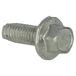Hayter Screw - 09365