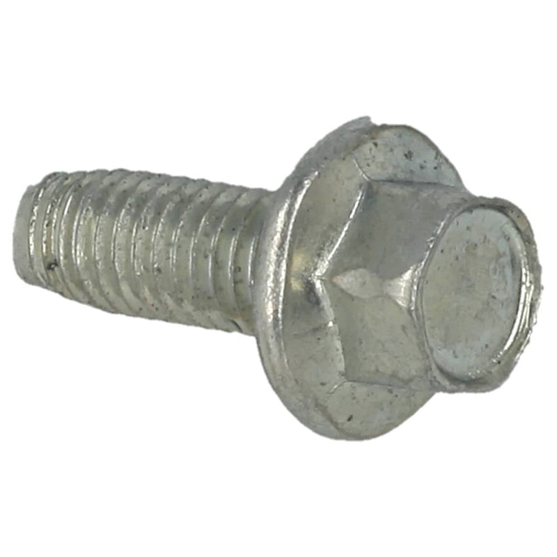Hayter Screw - 09365