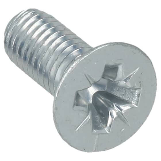 Hayter Screw - 09545