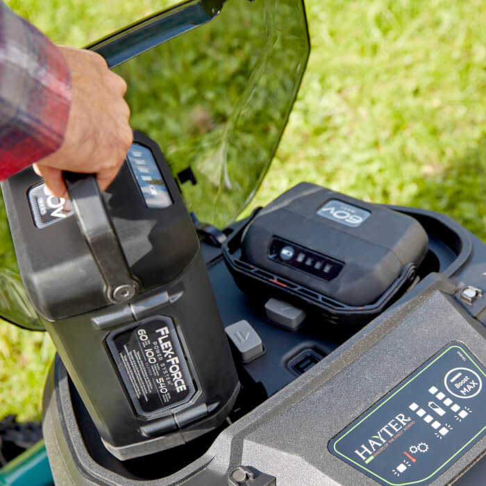 Hayter Harrier 56 Cordless Lawnmower