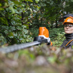 STIHL HLA86 Cordless Long Reach Hedge Trimmer