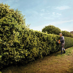STIHL HS82RC-E-24 Hedge Trimmer