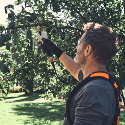 STIHL ASA140 Cordless Secateurs