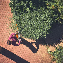 STIHL HSA140R-24 Cordless Hedge Trimmer