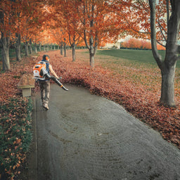 STIHL BRA600 Cordless Blower