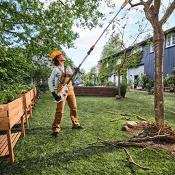 STIHL HTA30 Cordless Pole Pruner