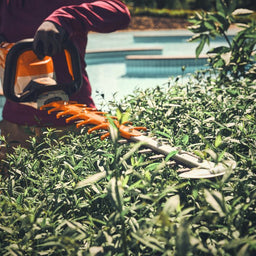 STIHL HSA140T-24 Cordless Hedge Trimmer