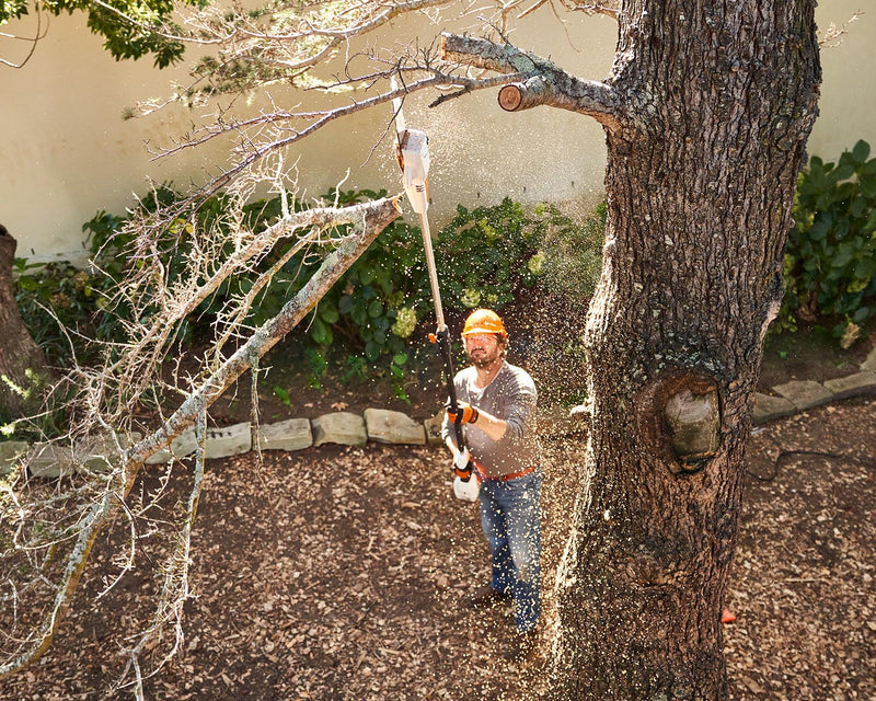 STIHL saw cutting branch