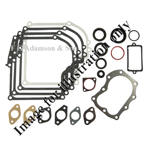 Briggs & Stratton Gasket Set - 495602