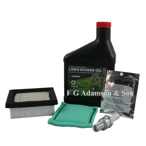 Tecumseh Maintenance Kit – 730279