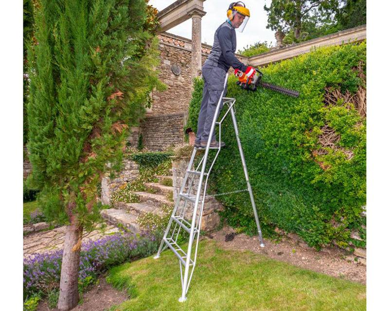 Hedge cutting using Henchman ladder