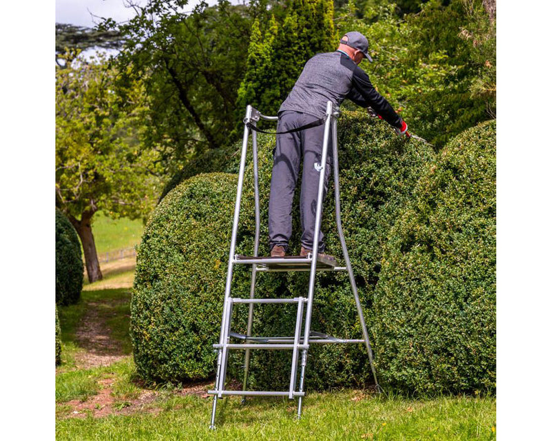 Using platform ladder