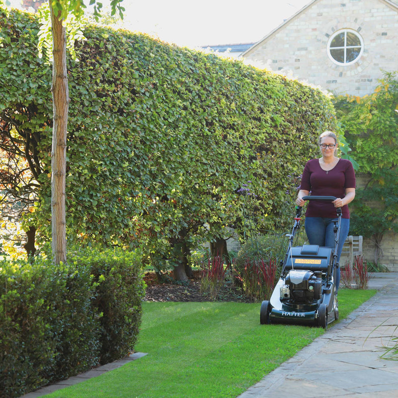 Hayter Harrier 48 Autodrive BBC VS Lawnmower