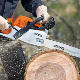 MS291 Chainsaw