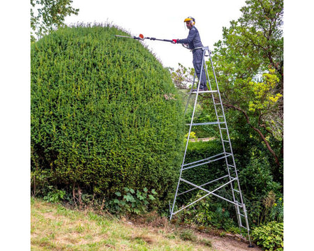 Hedge trimming with ladder