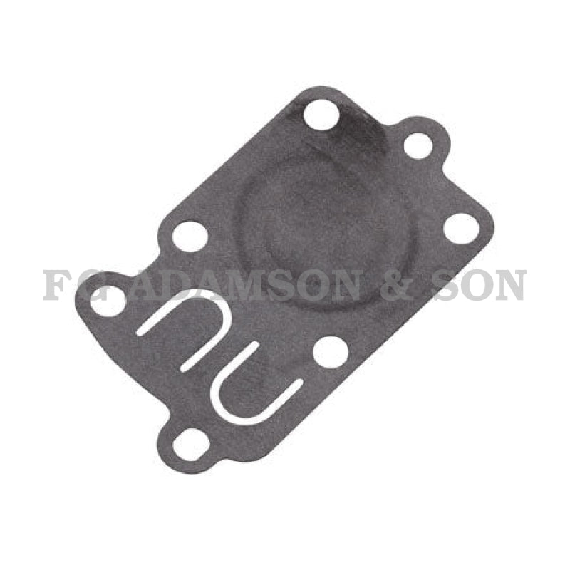 Briggs & Stratton Diaphragm - 272538S