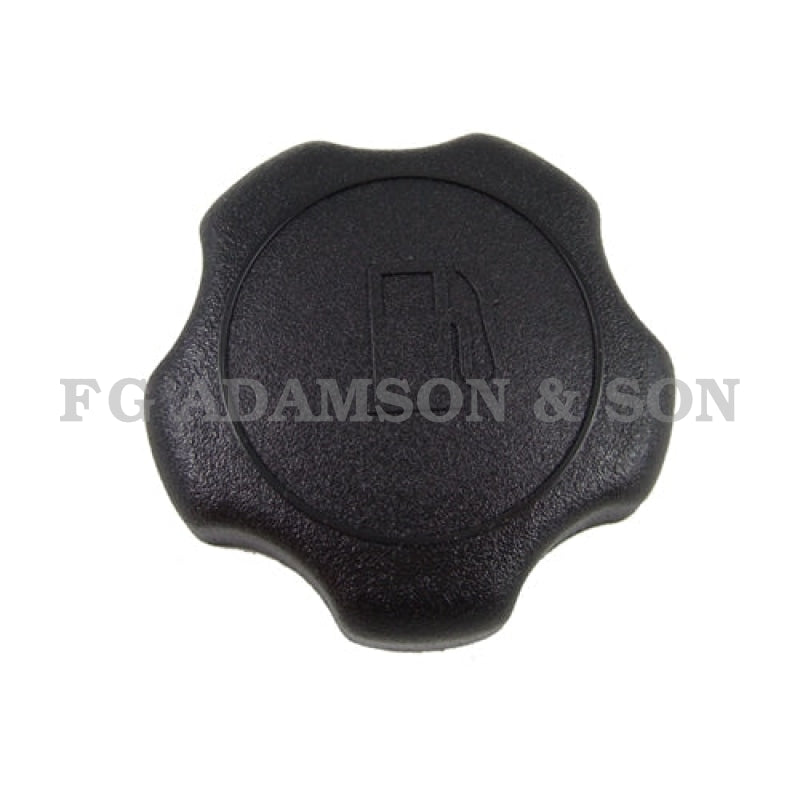 Briggs & Stratton Fuel Tank Cap - 795027 System Parts