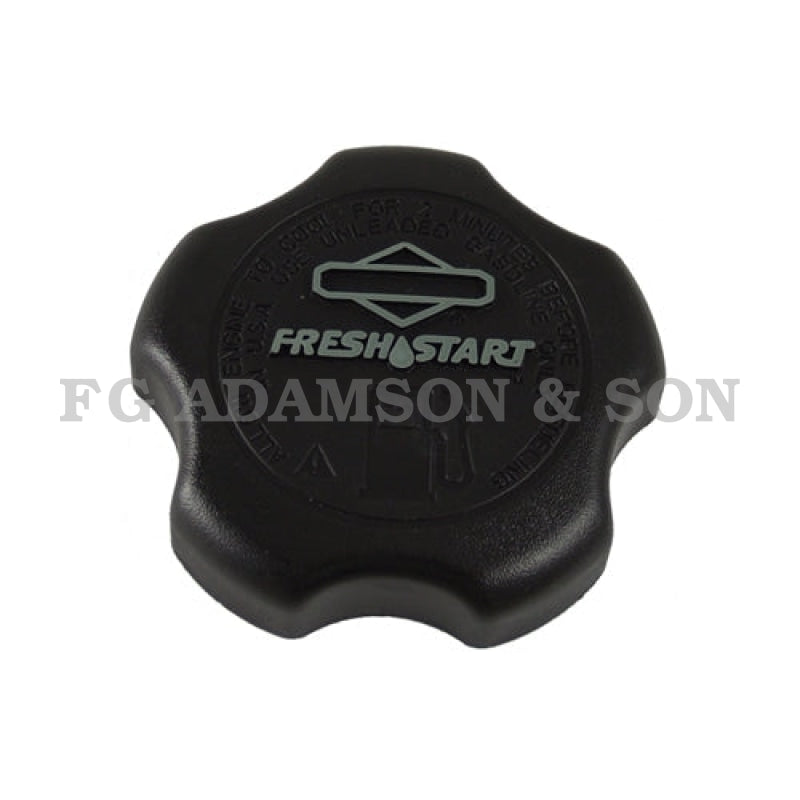 Briggs & Stratton Fuel Tank Cap - 795027