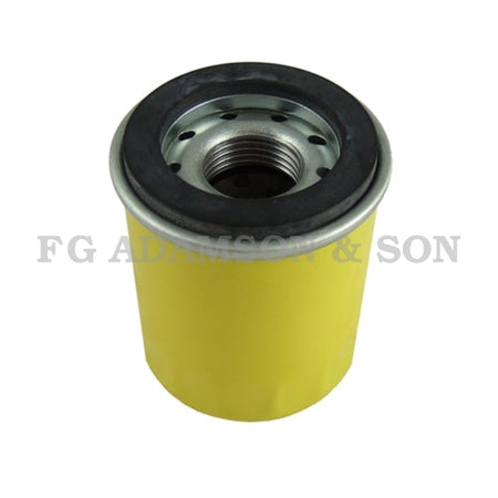 Briggs & Stratton Oil Filter - 795990 | Ripon Family