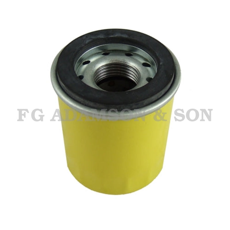 Briggs & Stratton Oil Filter - 795990