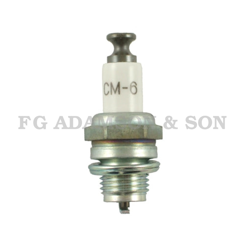 NGK Spark Plug - CM6